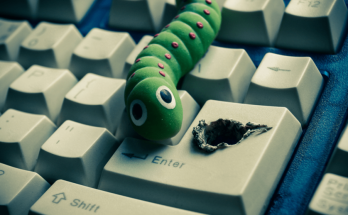 Computer Worms