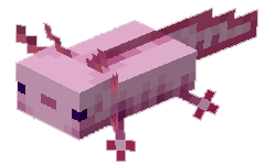 Breed Axolotl Minecraft