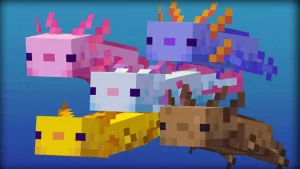 Breed Axolotl Minecraft