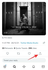 Save Videos From Twitter iPhone