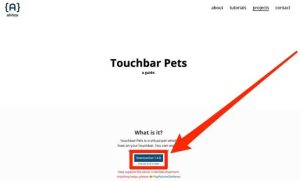 TouchBar Pet